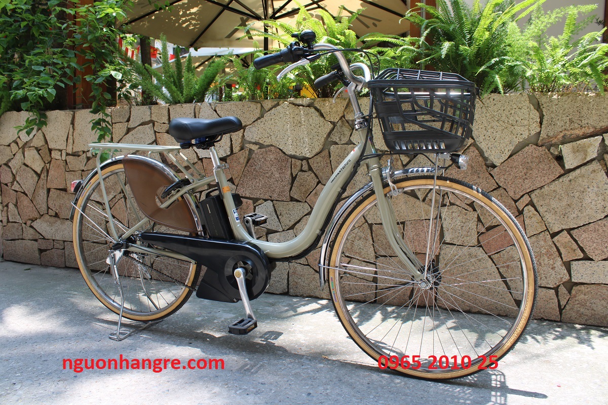 xe-dap-dien-nhat-yamaha-pas-natura-mau-kem-2