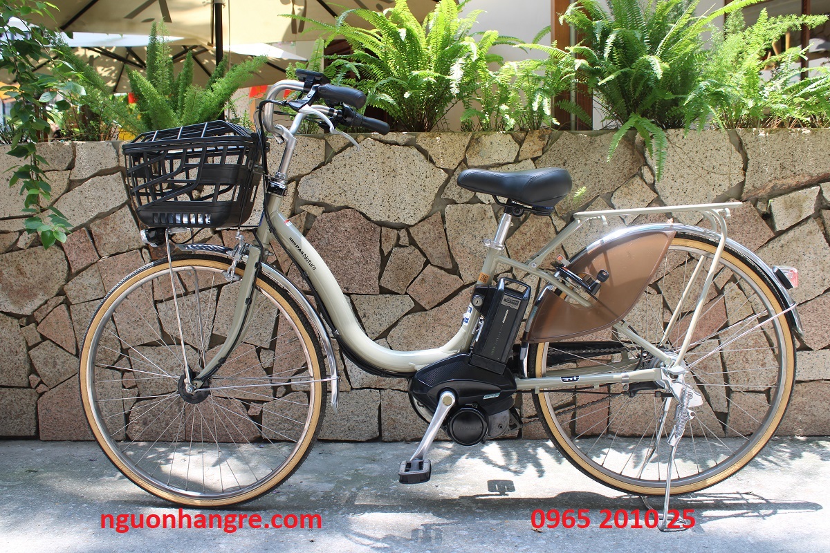 xe-dap-dien-nhat-yamaha-pas-natura-mau-kem-3