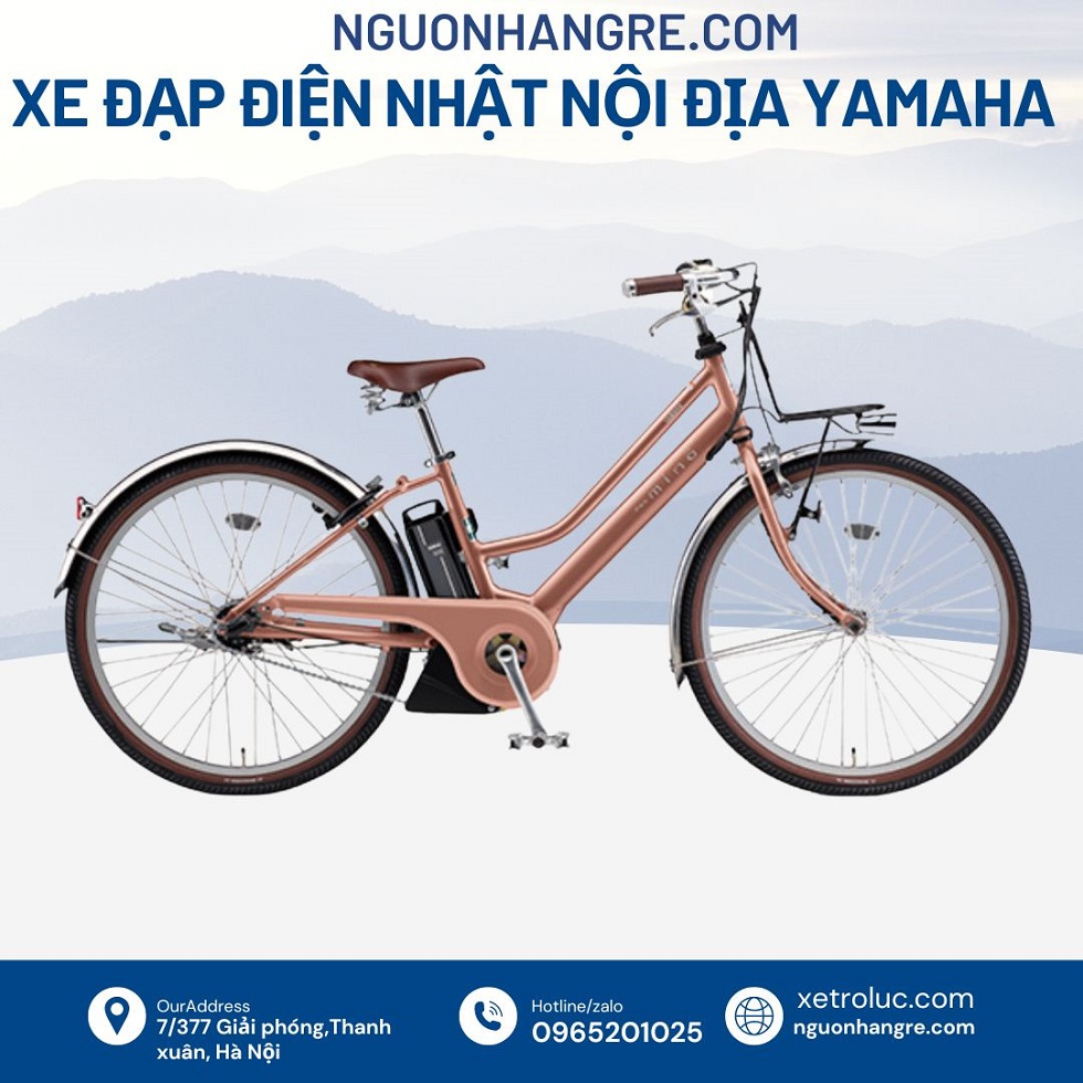 xe-dap-tro-luc-7