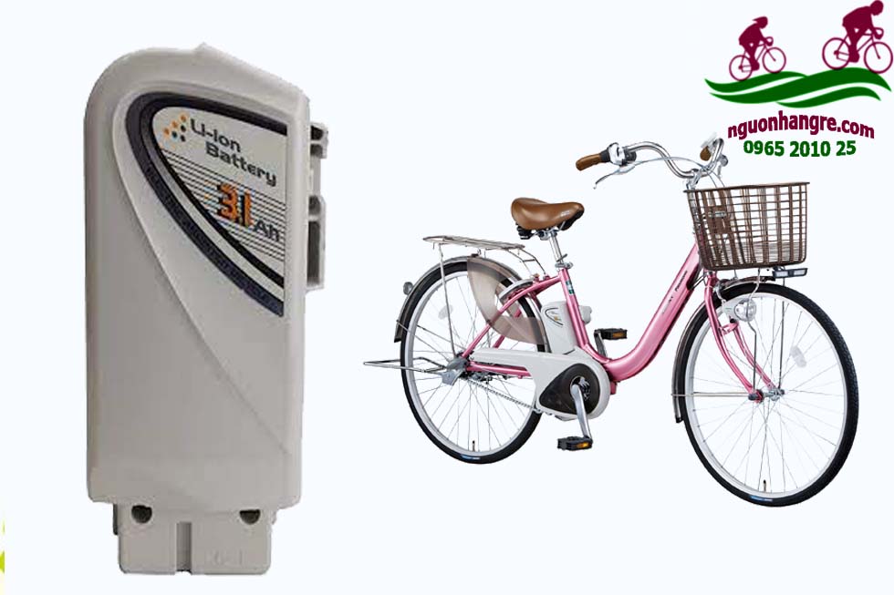 xe-dap-tro-luc-nhat-panasoni-chay-pin-lion-31ah