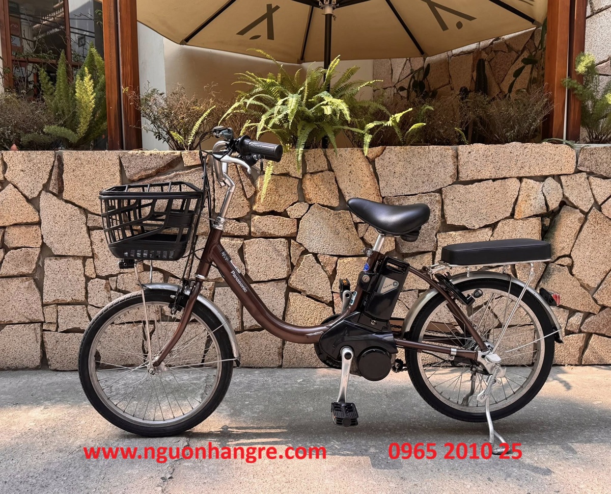 xe-dap-tro-luc-nhat-panasonic-banh-20inch-2