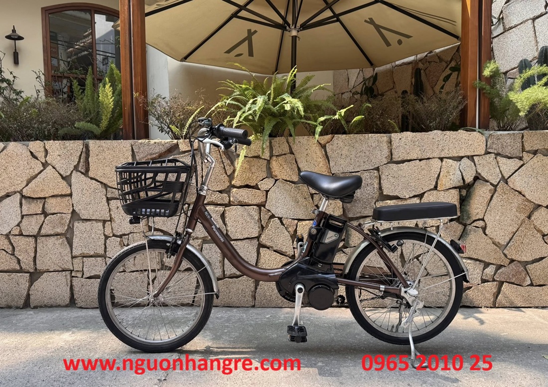 xe-dap-tro-luc-nhat-panasonic-banh-20inch-3