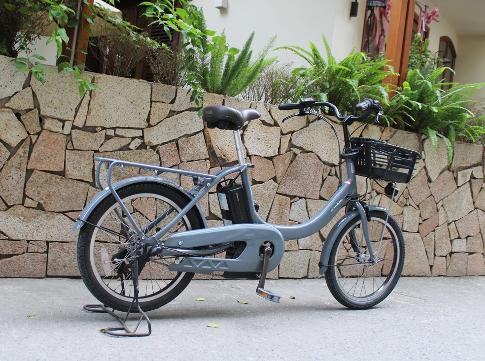 xe-dap-tro-luc-nhat-yamaha-baby-3