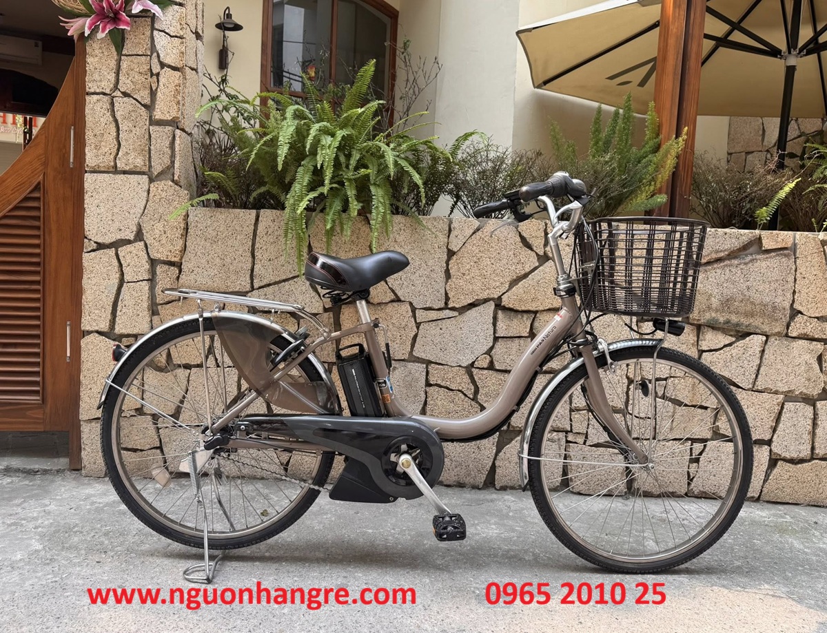 xe-dap-tro-luc-nhat-yamaha-pas-natura-2