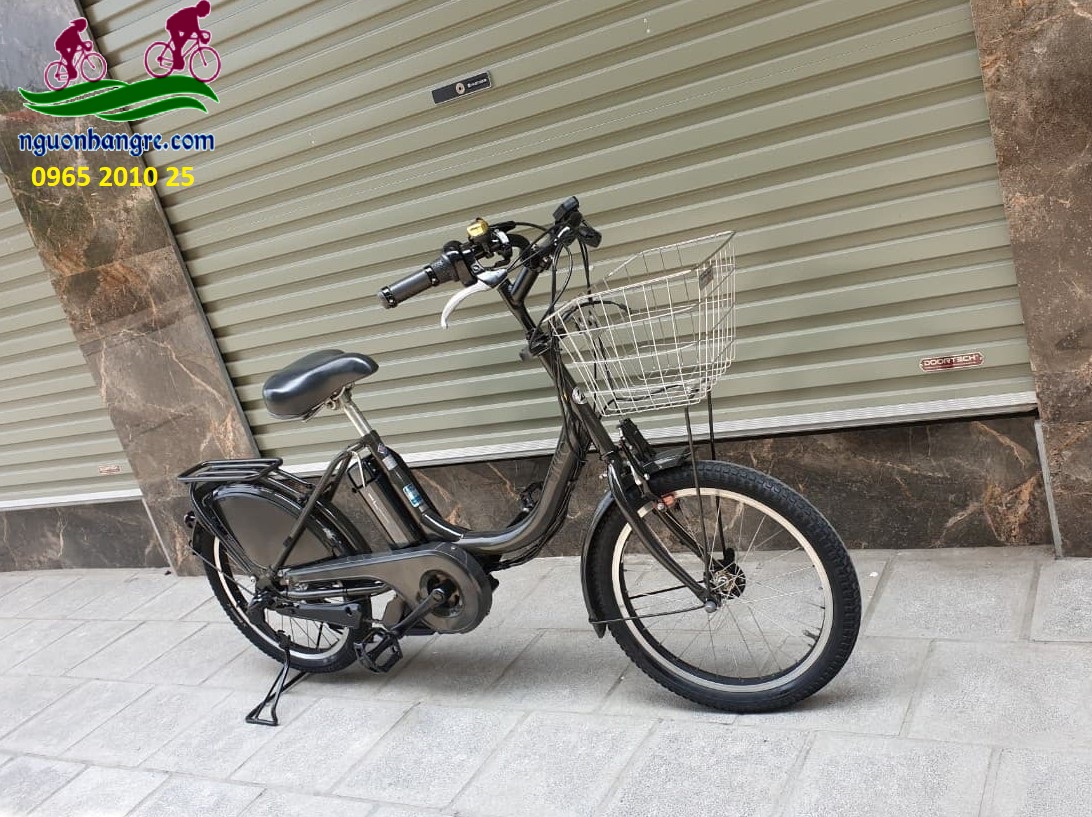 xedapdiennhatbike2