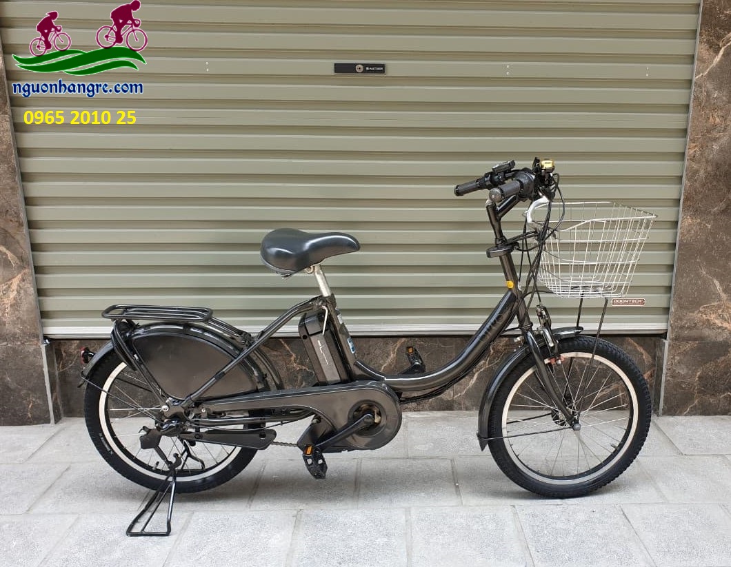xedapdiennhatbike4