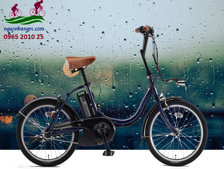 xedapdiennhatkieudangnhogon