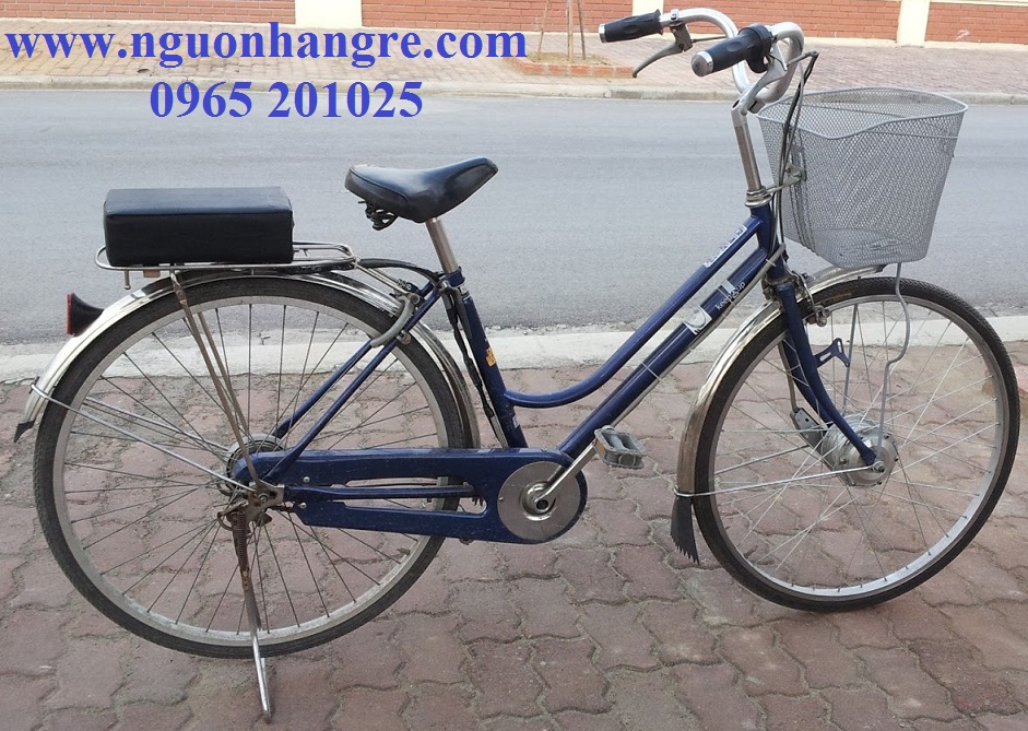 Xe đạp điện chế Xe đạp điện chế