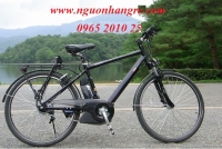 Xe đạp thể thao điện trợ lực Bridgestone 2011