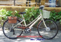 chế xe đạp thường thành xe đạp điện, kiểu dáng thanh lịch