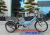 Xe đạp điện 3 bánh Yamaha - anh 1