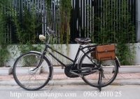 Chế xe đạp thư báo thành xe đạp điện đi được 80Km/sạc