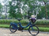 Xe đạp điện Nhật trợ lực Yamaha Baby đời mới - anh 3 Xe đạp điện Nhật trợ lực Yamaha Baby đời mới - anh 3