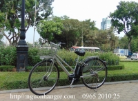 Xe đạp điện Nhật trợ lực A.C.L dây âm sườn màu lông chuột
