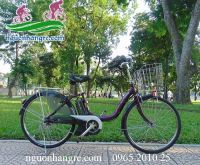 Xe đạp điện trợ lực Nhật Pas Natura