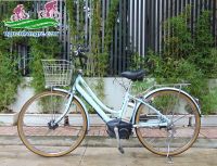 Xe đạp trợ lực Nhật Bản Brigestone Veltro màu xanh