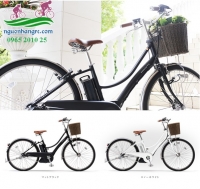 Xe đạp trợ lực là gì?