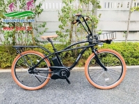 Xe đạp điện Nhật đẹp nhất hiện nay
